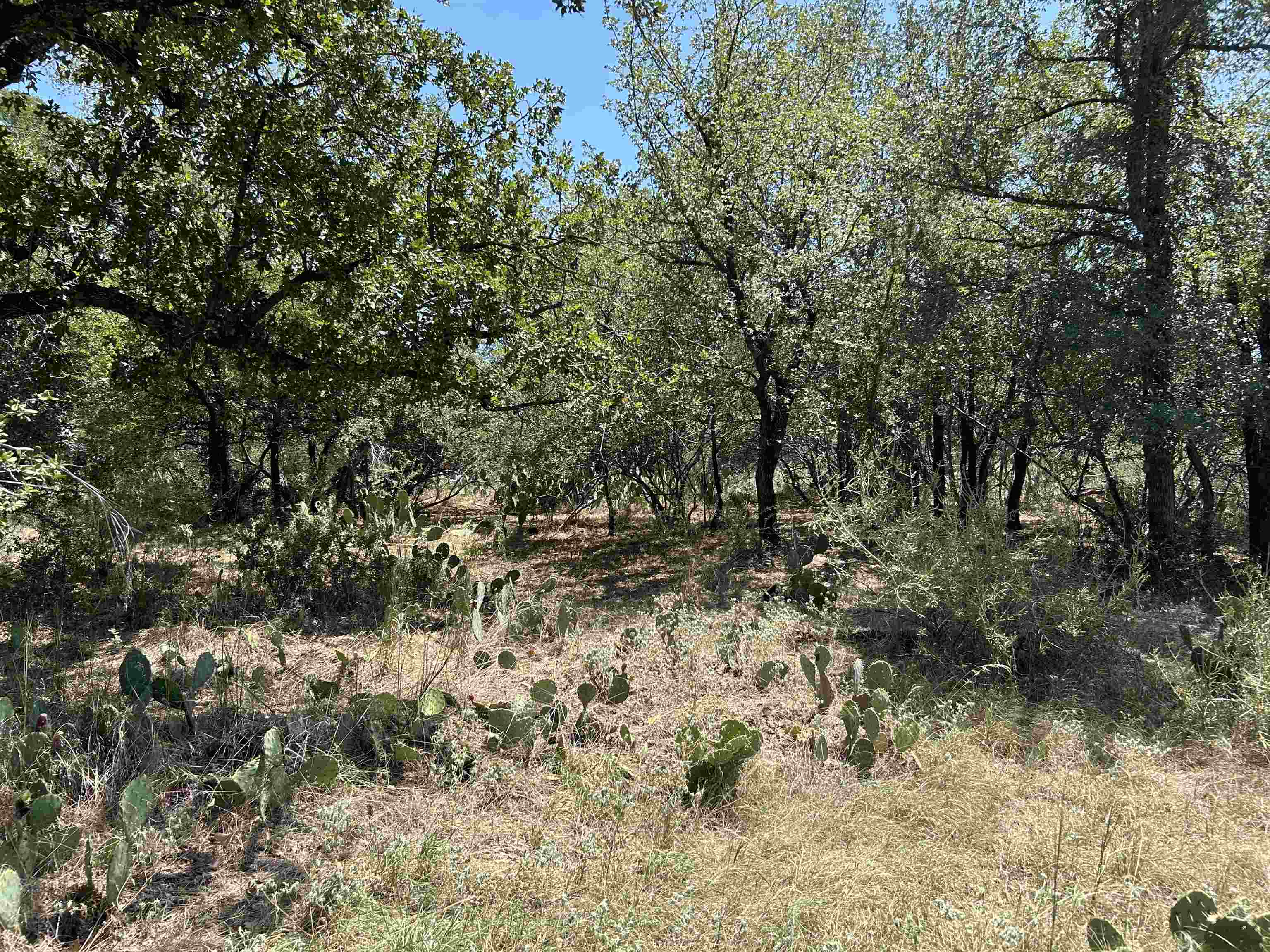 Air View Boulevard Llano, TX 78643 - Photo 4 of 5