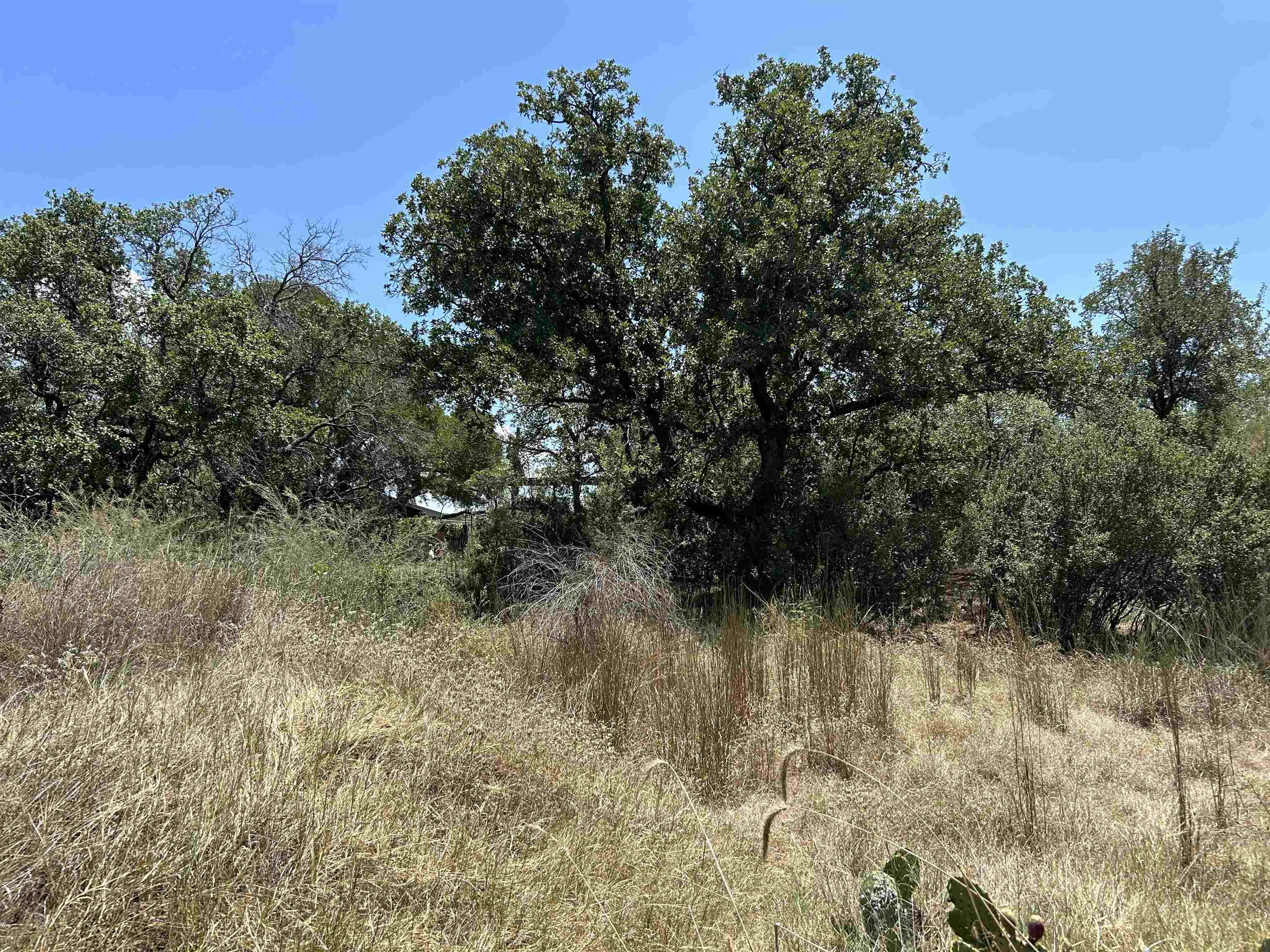 Air View Boulevard Llano, TX 78643 - Photo 5 of 5