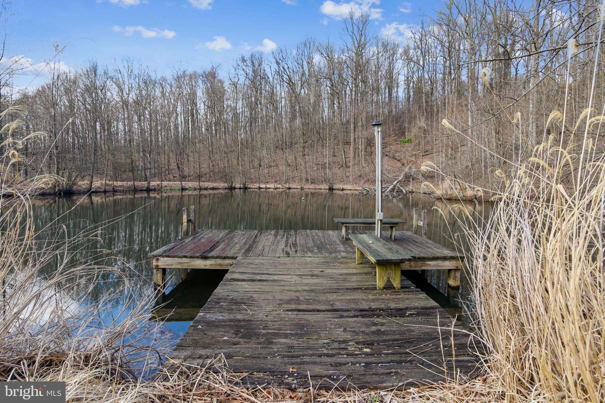 41635 Stumptown Road Leesburg, VA 20176 - Photo 1 of 60 Spring fed pond with Bass and Koi