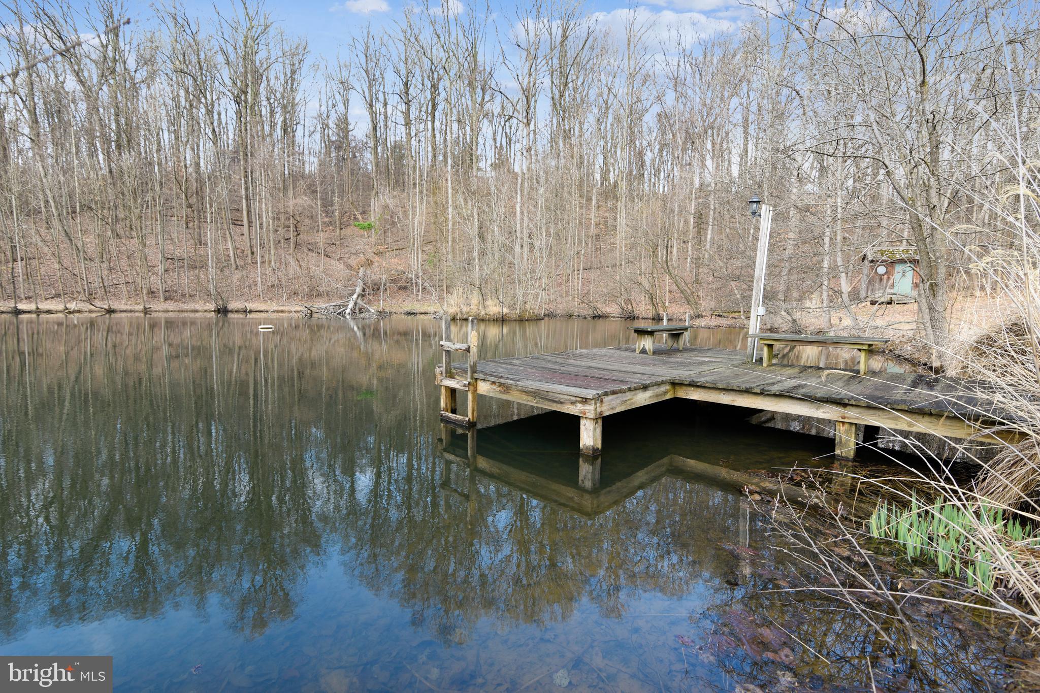 41635 Stumptown Road Leesburg, VA 20176 - Photo 13 of 60 Dock has power, swimming ladder