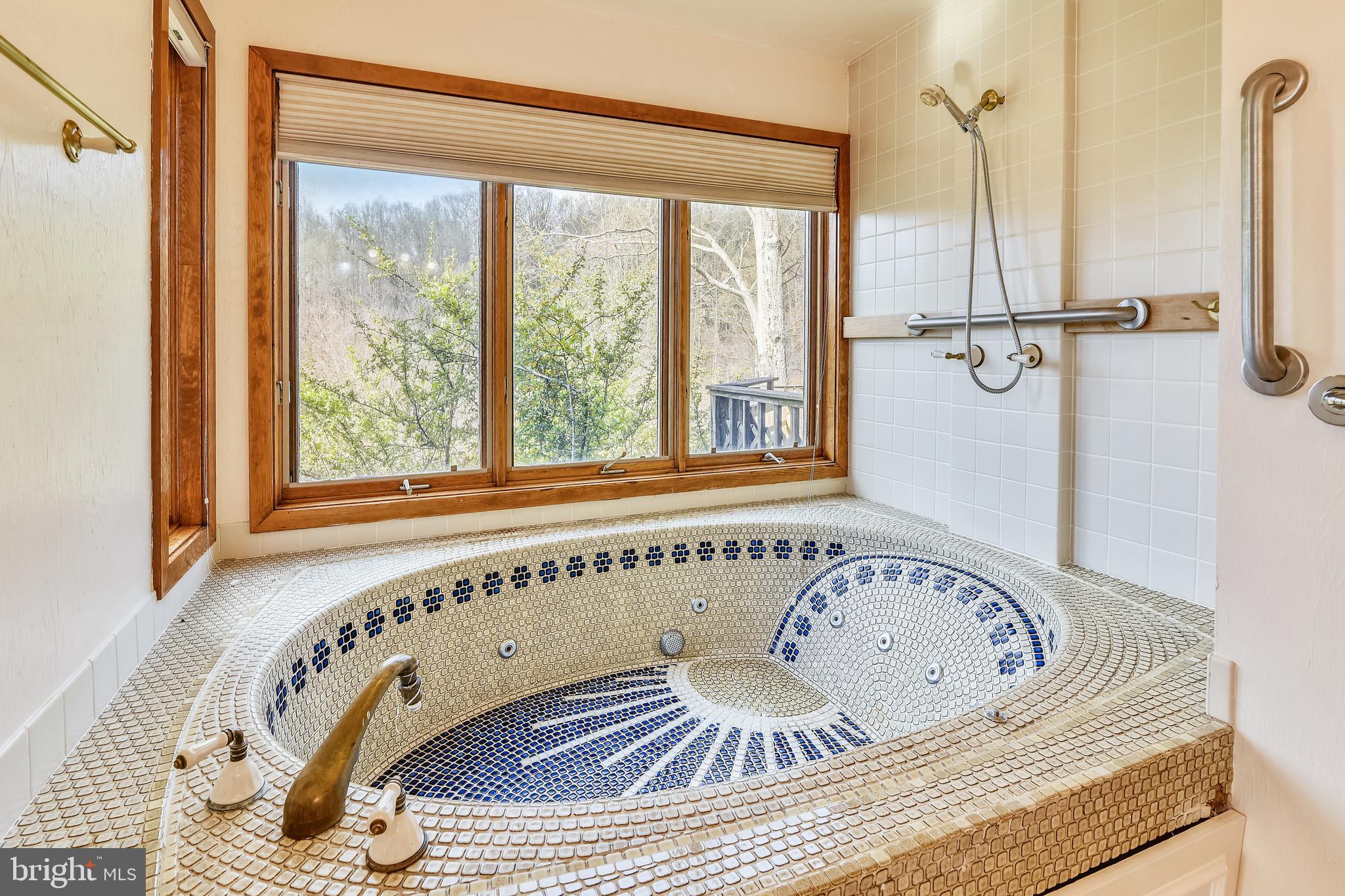 41635 Stumptown Road Leesburg, VA 20176 - Photo 32 of 60 Master bath overlooks acreage
