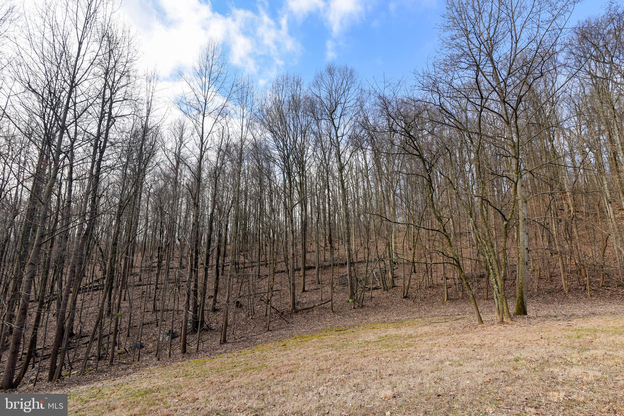 41635 Stumptown Road Leesburg, VA 20176 - Photo 46 of 60 Wooded ridgeline for exploring