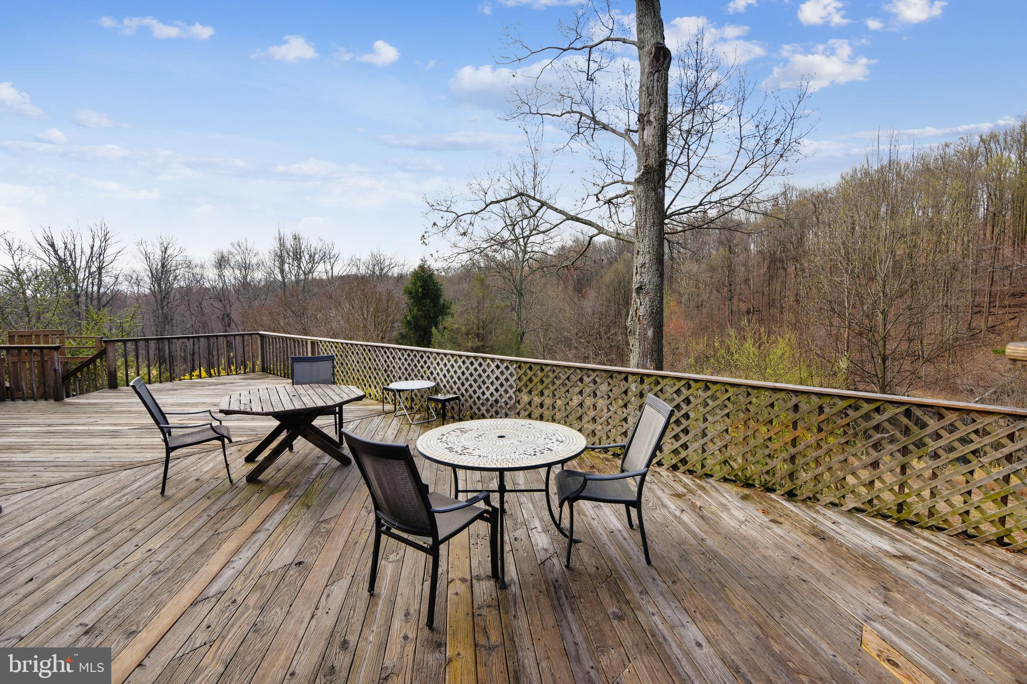 41635 Stumptown Road Leesburg, VA 20176 - Photo 53 of 60 Serenity