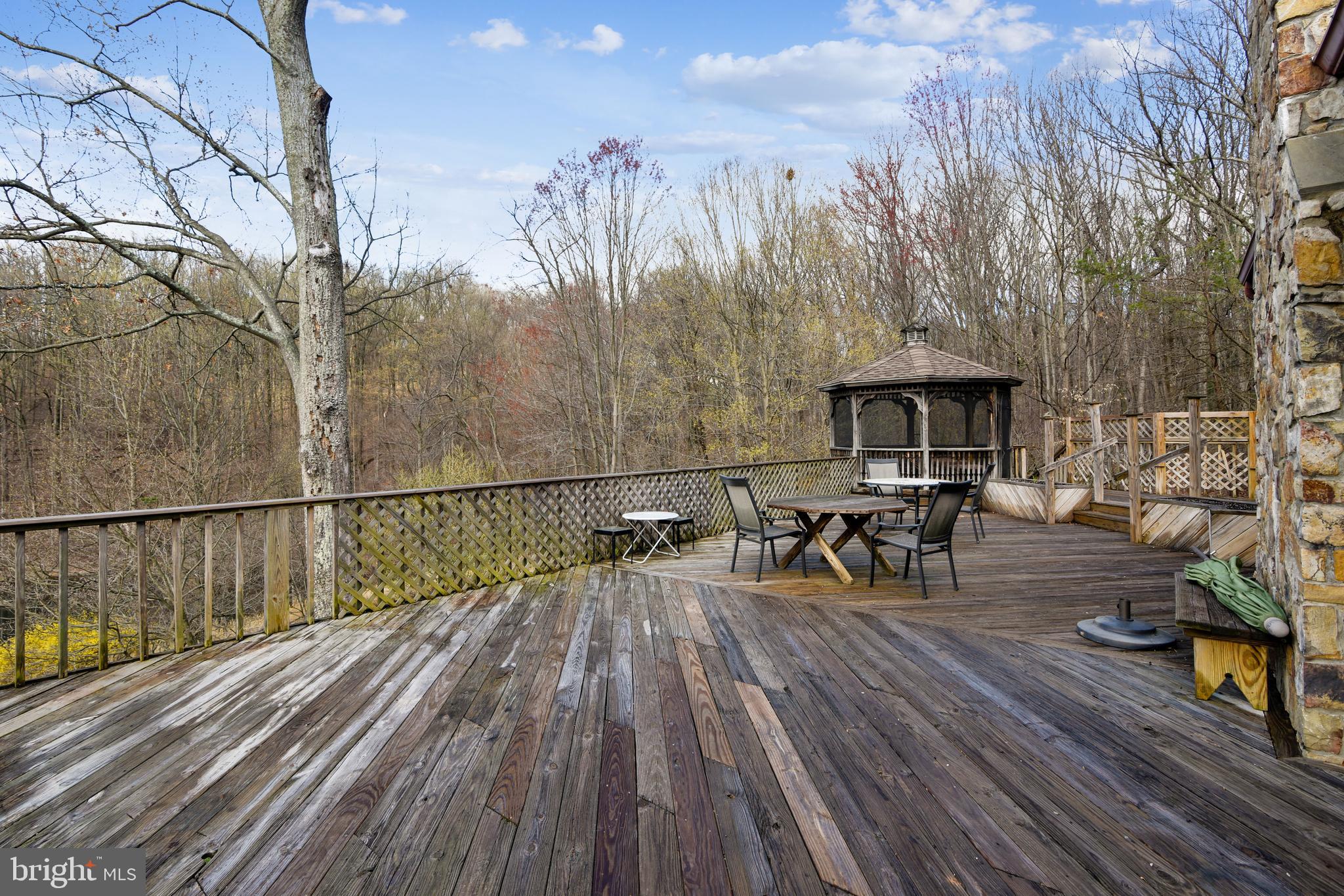 41635 Stumptown Road Leesburg, VA 20176 - Photo 54 of 60 Privacy