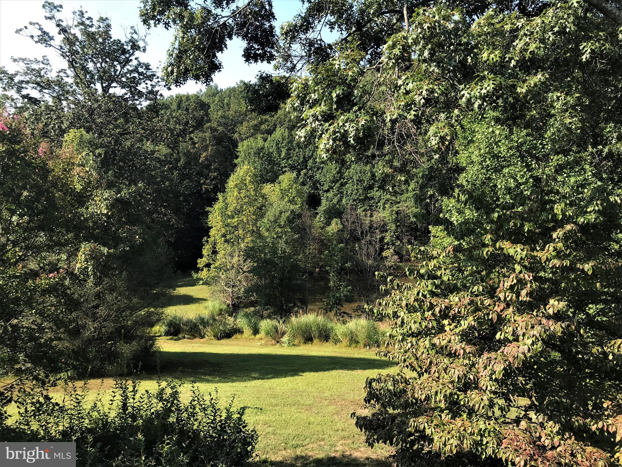 41635 Stumptown Road Leesburg, VA 20176 - Photo 56 of 60 Lush yard