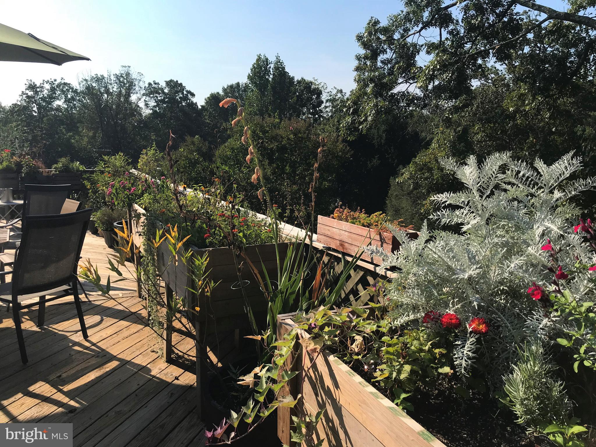 41635 Stumptown Road Leesburg, VA 20176 - Photo 57 of 60 Easy to add color & life to the deck with planters
