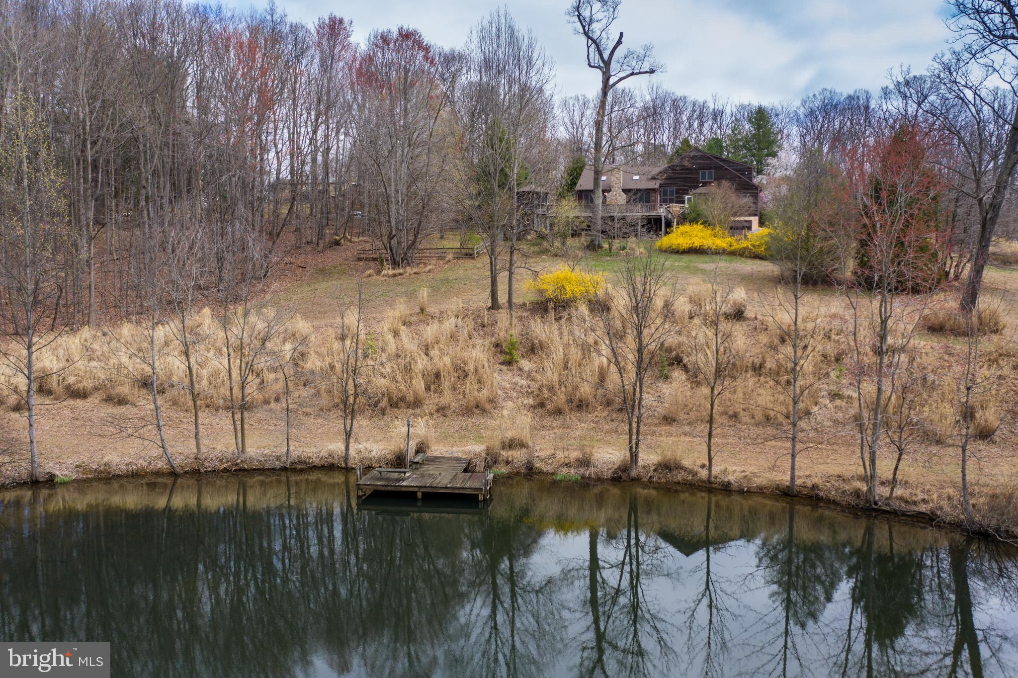 41635 Stumptown Road Leesburg, VA 20176 - Photo 6 of 60 Privacy abounds