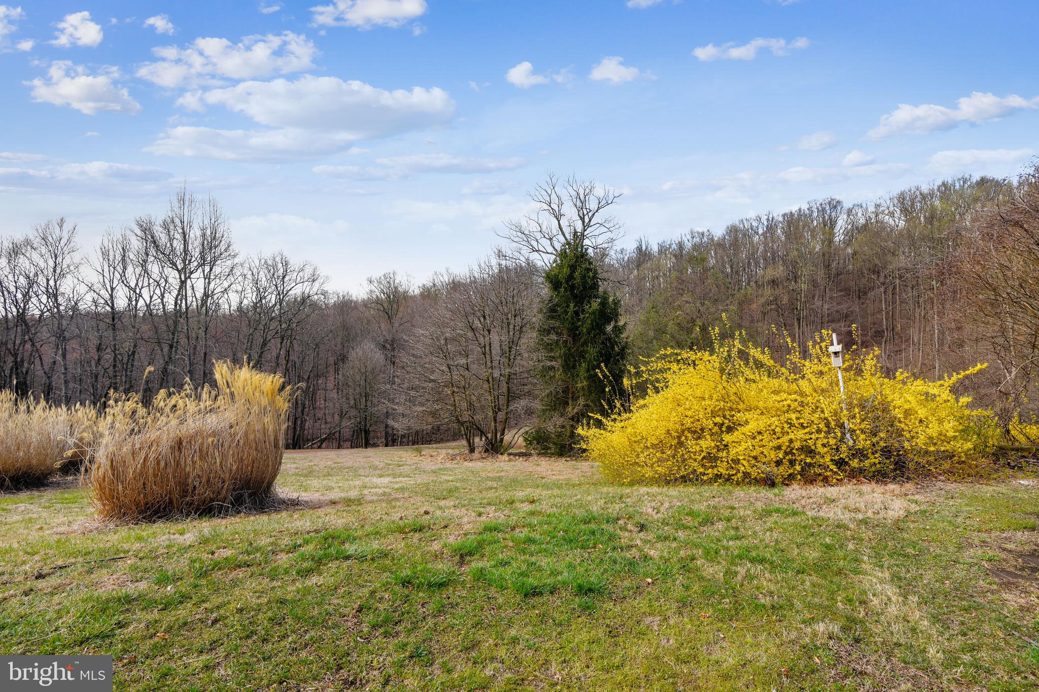 41635 Stumptown Road Leesburg, VA 20176 - Photo 9 of 60 Yard