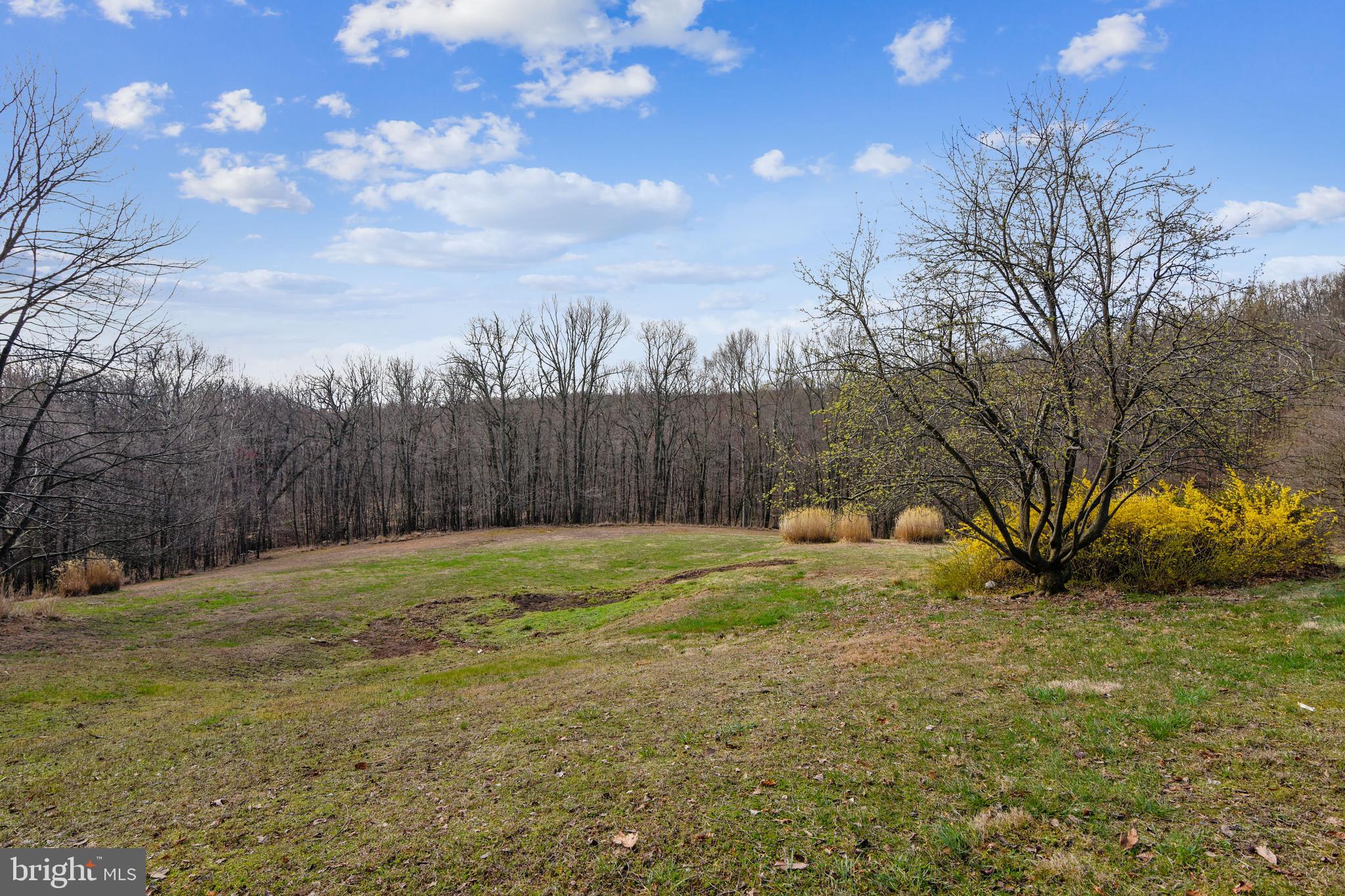 41635 Stumptown Road Leesburg, VA 20176 - Photo 10 of 60 Yard
