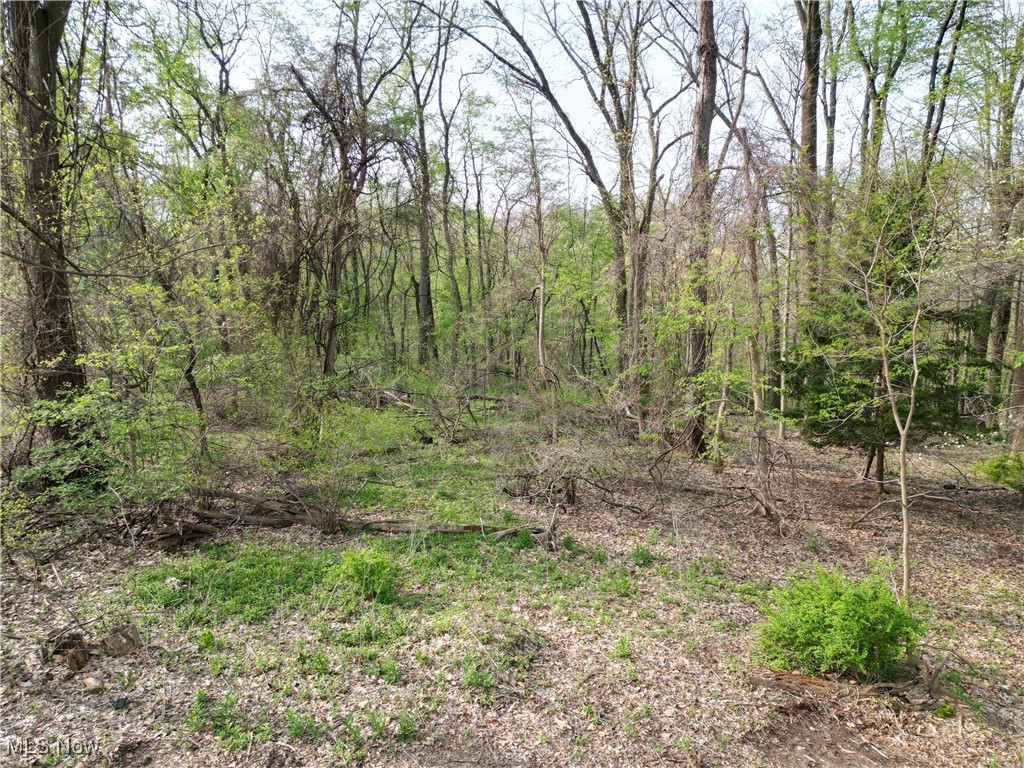 13430 Schreiber Road Valley View, OH 44125 - Photo 12 of 18 Gallery Image 12