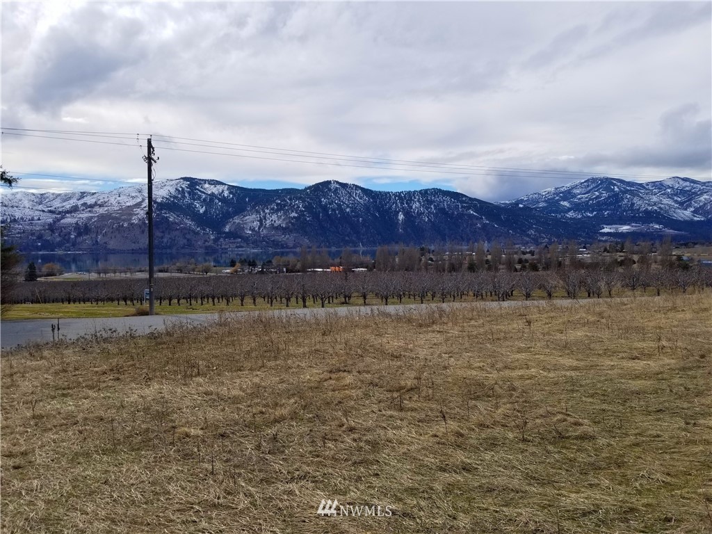 3 Swartout Road, Unit 3 Chelan, WA 98816 - Photo 1 of 6 Gallery Image 1