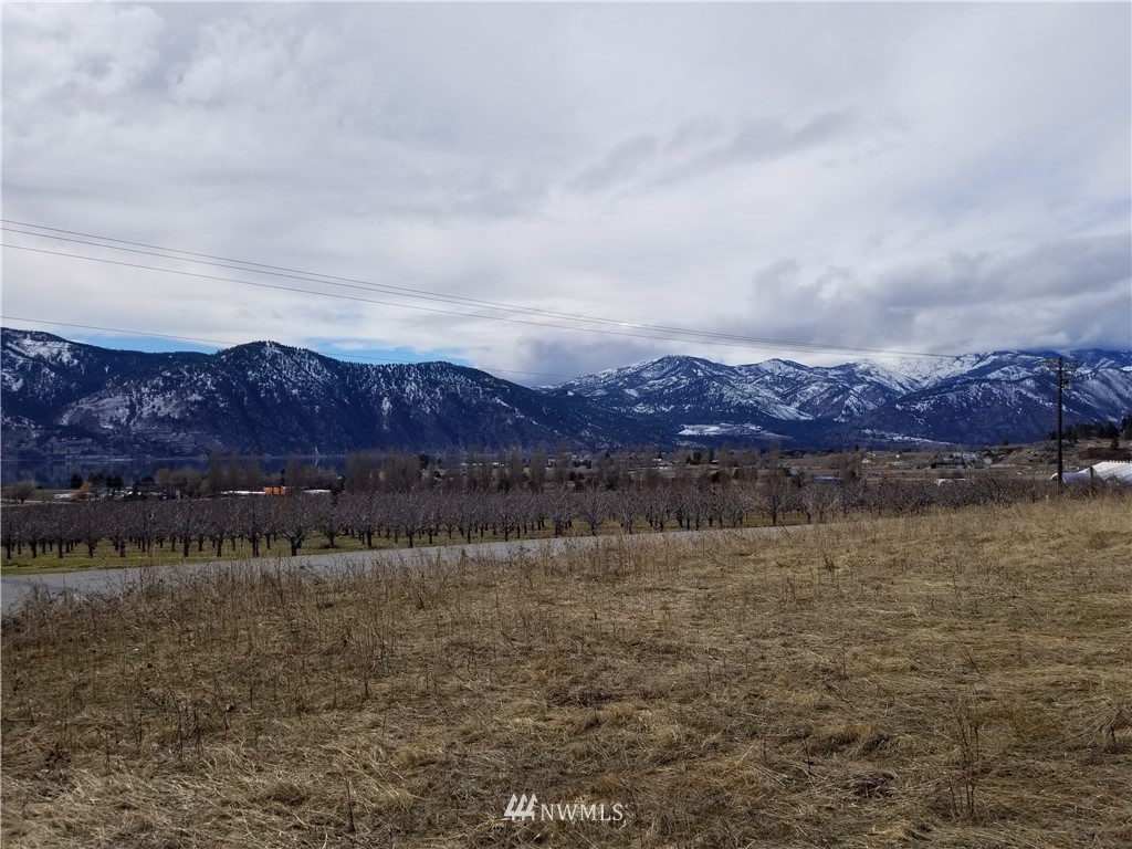 3 Swartout Road, Unit 3 Chelan, WA 98816 - Photo 3 of 6 Gallery Image 3