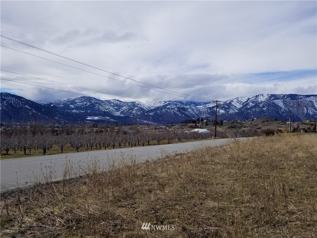 3 Swartout Road, Unit 3 Chelan, WA 98816 - Photo 4 of 6 Gallery Image 4
