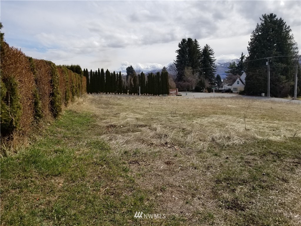 3 Swartout Road, Unit 3 Chelan, WA 98816 - Photo 5 of 6 Gallery Image 5