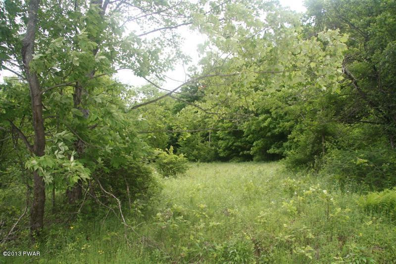 Creek Road Pleasant Mount, PA 18453 - Photo 7 of 9