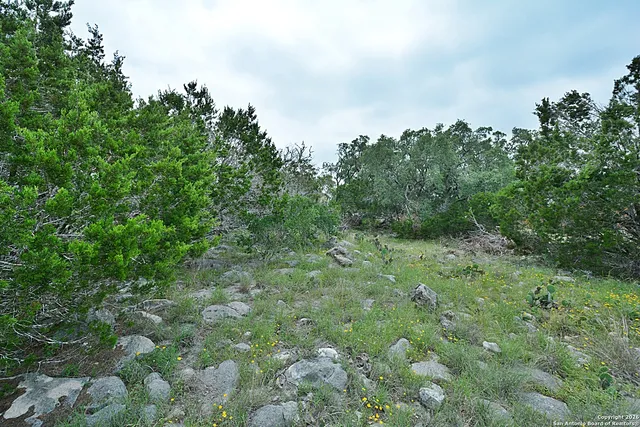 $46,900 | 134 East Alex Jordan, Blanco, TX 78606