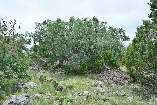 $46,900 | 134 East Alex Jordan, Blanco, TX 78606