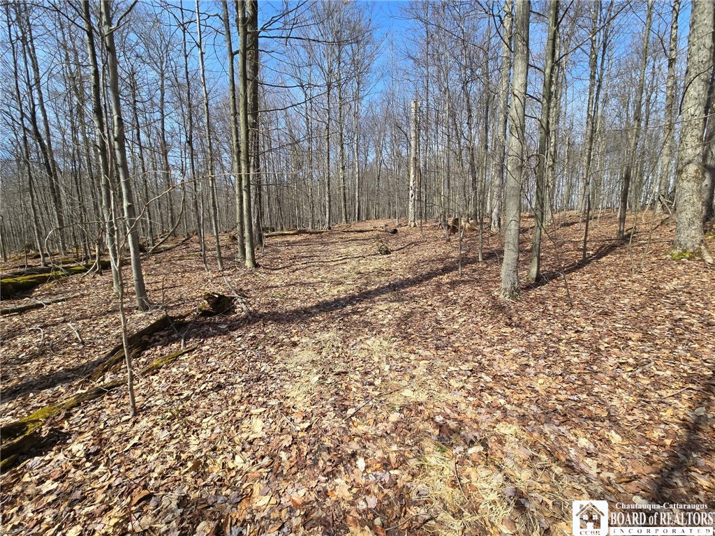 0 West Cobb Road Falconer, NY 14733 - Photo 25 of 49