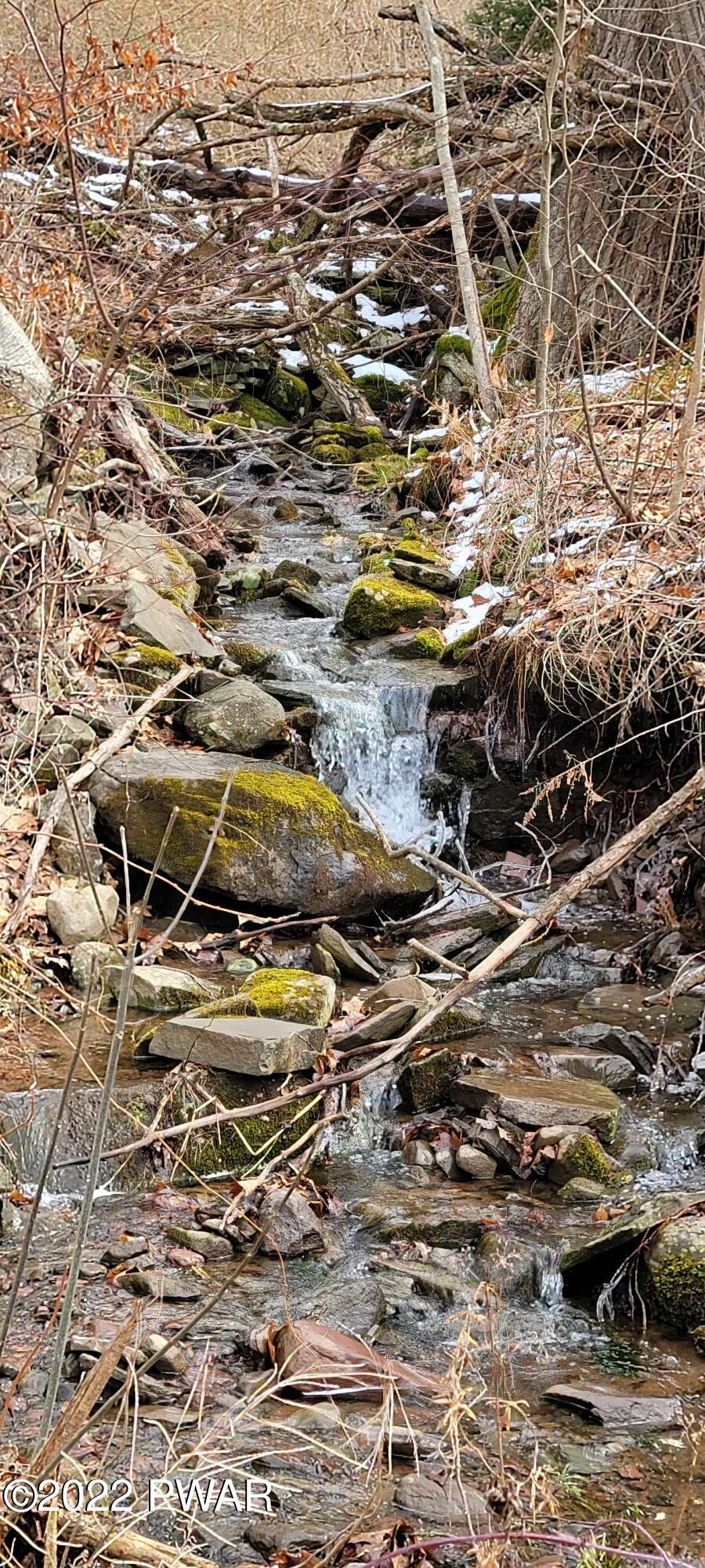 Lot 5.2 Humphrey Road Narrowsburg, NY 12764 - Photo 22 of 51
