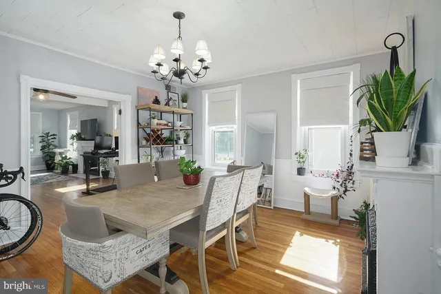 a dining room with furniture potted plants and wooden floor