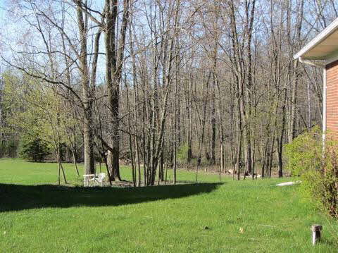 12302 Read Road Fenton, MI 48430 - Photo 10 of 14 20270650-9.JPG
