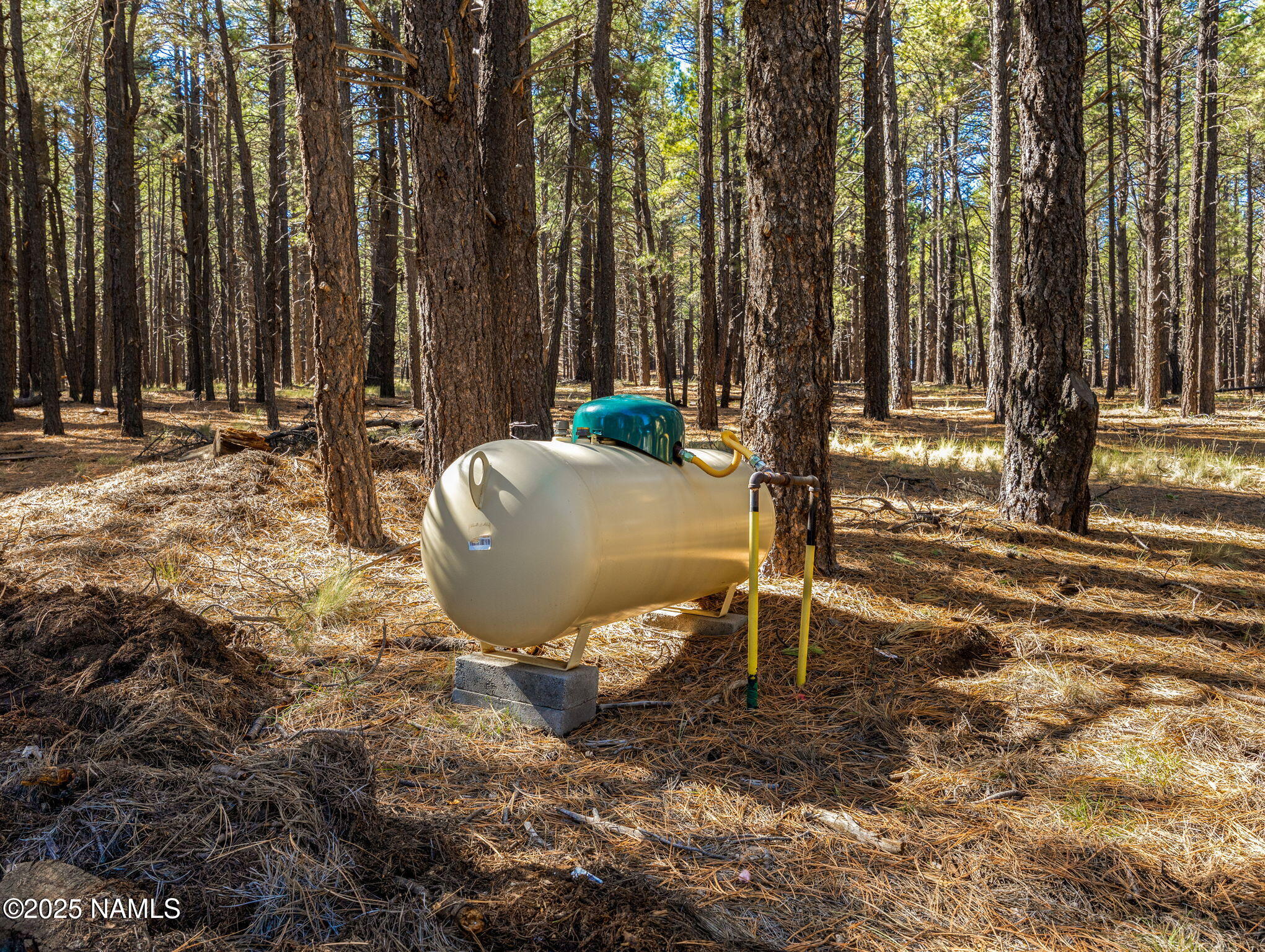 3328 Crimson Road Flagstaff, AZ 86005 - Photo 67 of 97 63-web-or-mls-3328 Crimson Rd-153