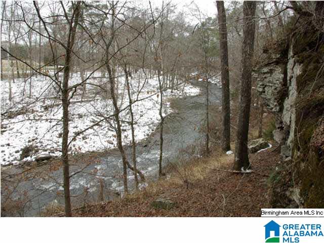 33 County Road, Unit 48 Oneonta, AL 35121 - Photo 6 of 33