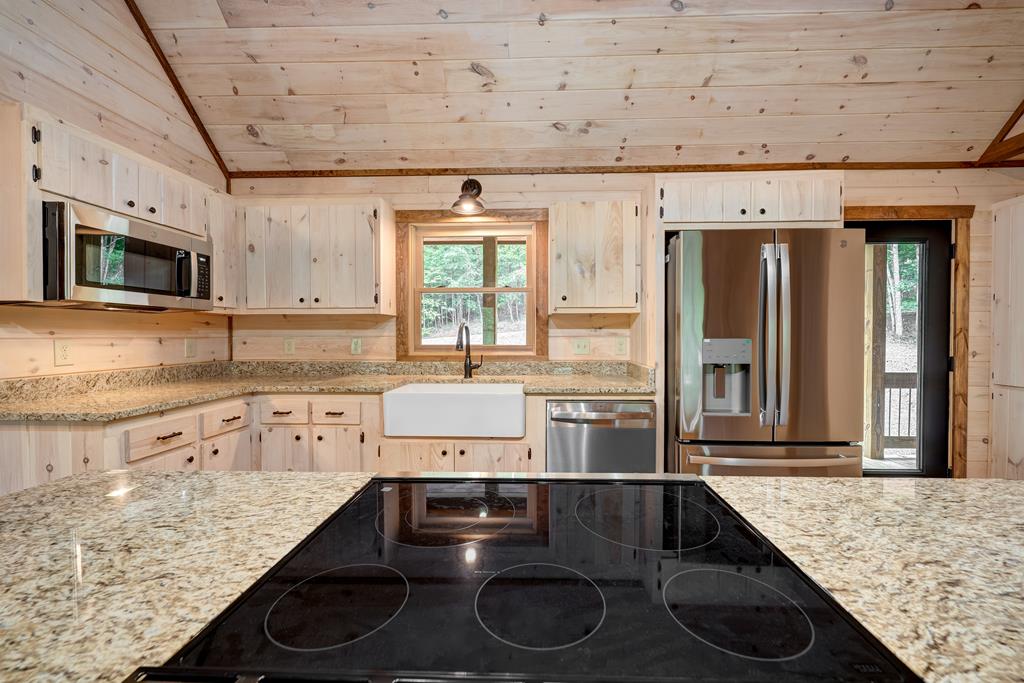 58 Wolf Crk Drive Mineral Bluff, GA 30559 - Photo 16 of 66