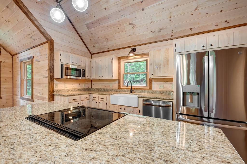 58 Wolf Crk Drive Mineral Bluff, GA 30559 - Photo 17 of 66