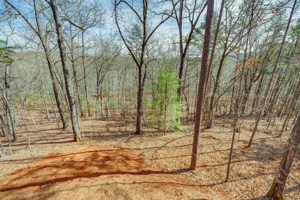 58 Wolf Crk Drive Mineral Bluff, GA 30559 - Photo 50 of 66