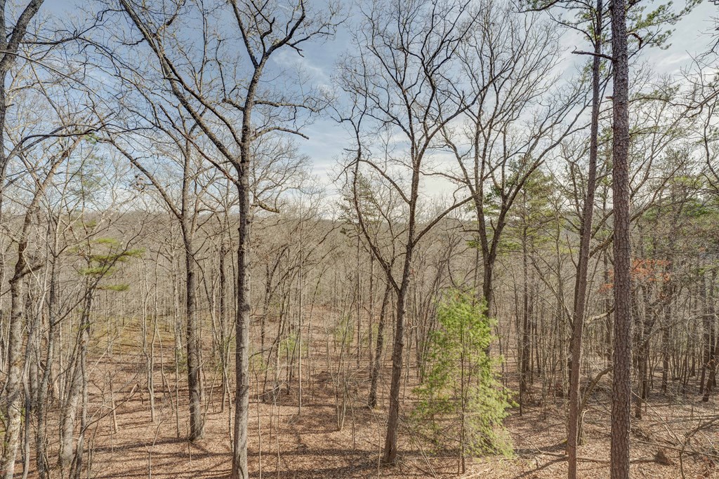 58 Wolf Crk Drive Mineral Bluff, GA 30559 - Photo 9 of 66
