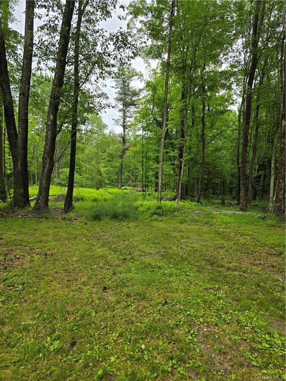 Otens Road Ellenville, NY 12424 - Photo 11 of 34