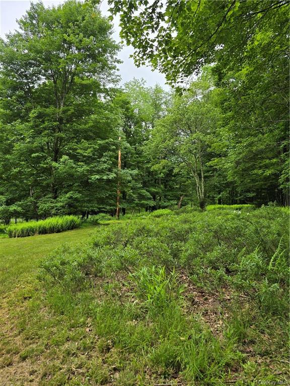 Otens Road Ellenville, NY 12424 - Photo 13 of 34