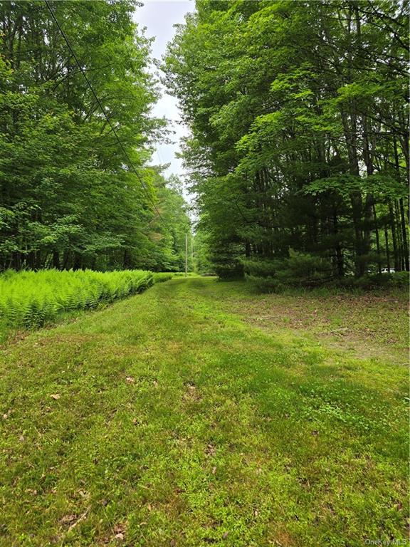 Otens Road Ellenville, NY 12424 - Photo 14 of 34