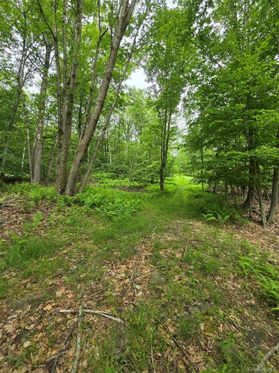 Otens Road Ellenville, NY 12424 - Photo 16 of 34