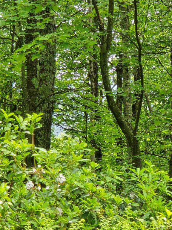Otens Road Ellenville, NY 12424 - Photo 17 of 34 that blueish color is the mountain across the valley