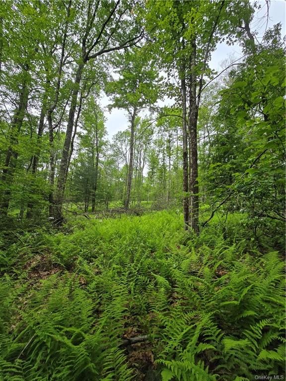 Otens Road Ellenville, NY 12424 - Photo 18 of 34