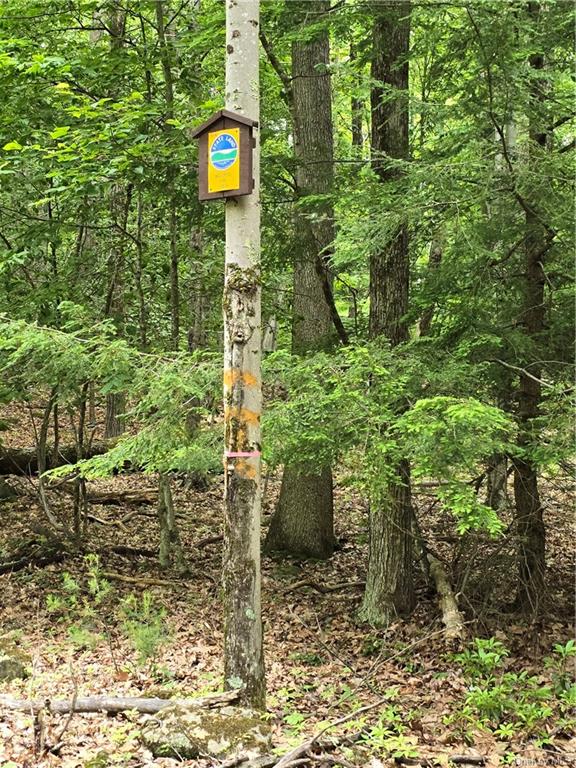 Otens Road Ellenville, NY 12424 - Photo 19 of 34 property border line with State Land.