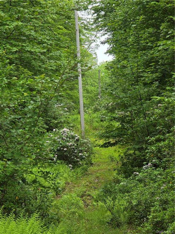 Otens Road Ellenville, NY 12424 - Photo 22 of 34 this trail leads to the higher plateau