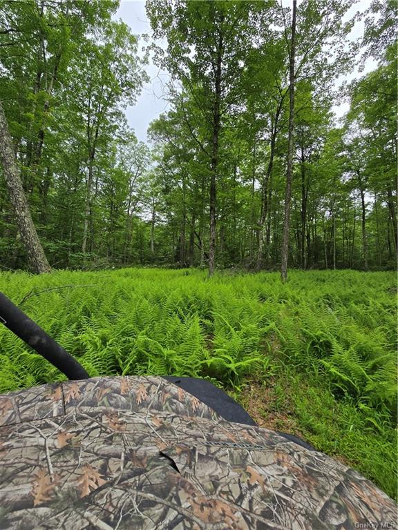 Otens Road Ellenville, NY 12424 - Photo 23 of 34