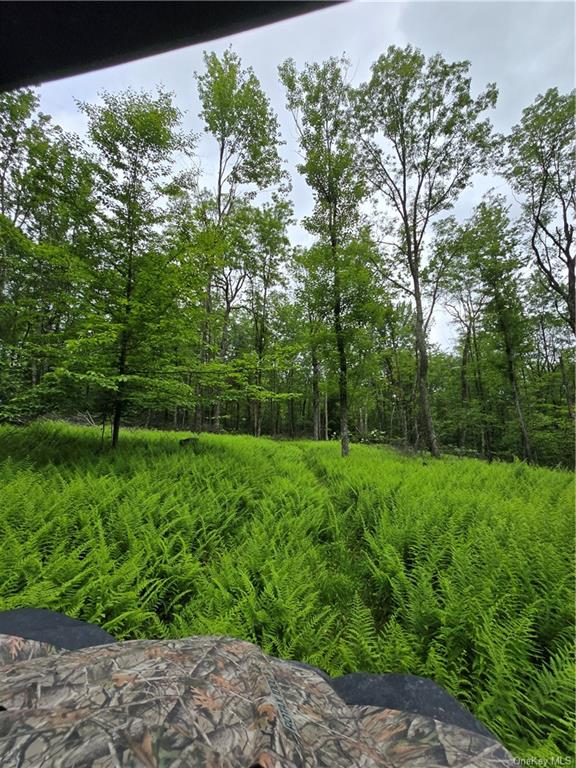 Otens Road Ellenville, NY 12424 - Photo 27 of 34