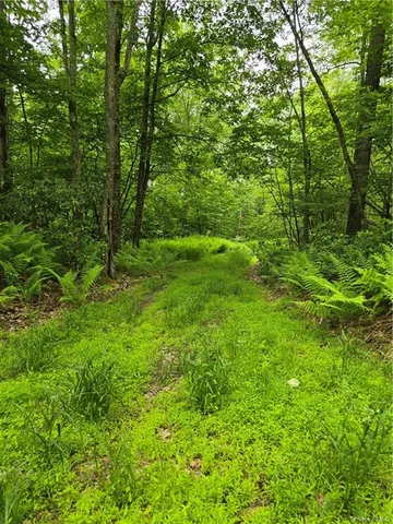 $699,999 | Otens Road, Ellenville, NY 12424