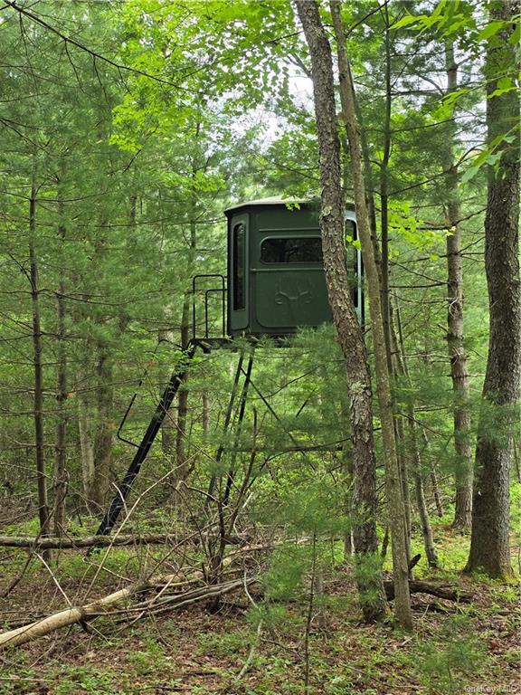 Otens Road Ellenville, NY 12424 - Photo 32 of 34 this tree stand is not included in the sale