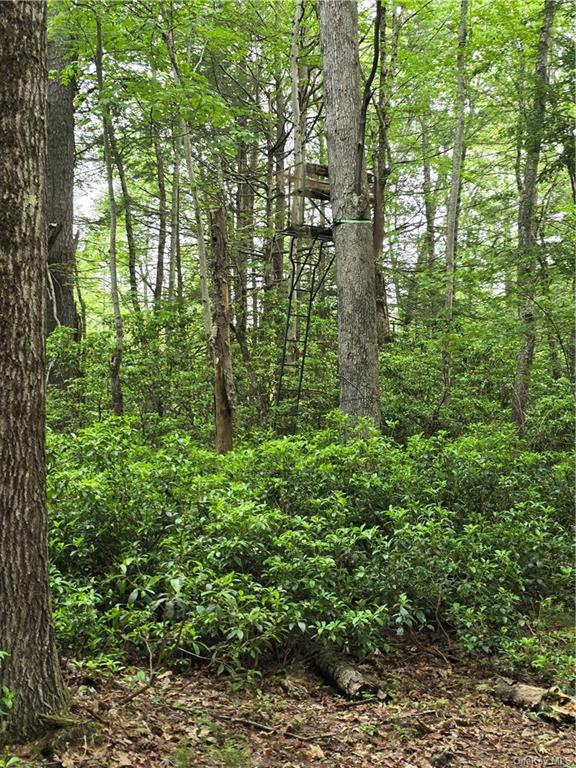Otens Road Ellenville, NY 12424 - Photo 33 of 34 this tree stand will stay