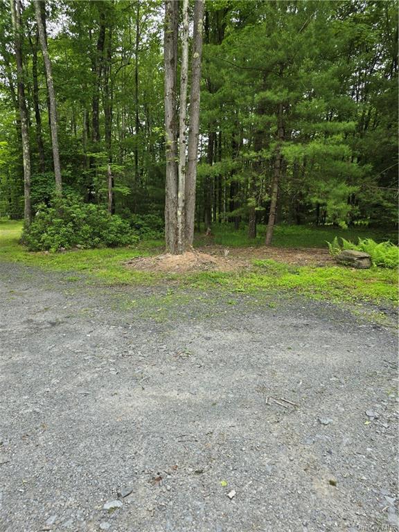 Otens Road Ellenville, NY 12424 - Photo 4 of 34