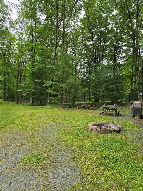 Otens Road Ellenville, NY 12424 - Photo 8 of 34 home camp