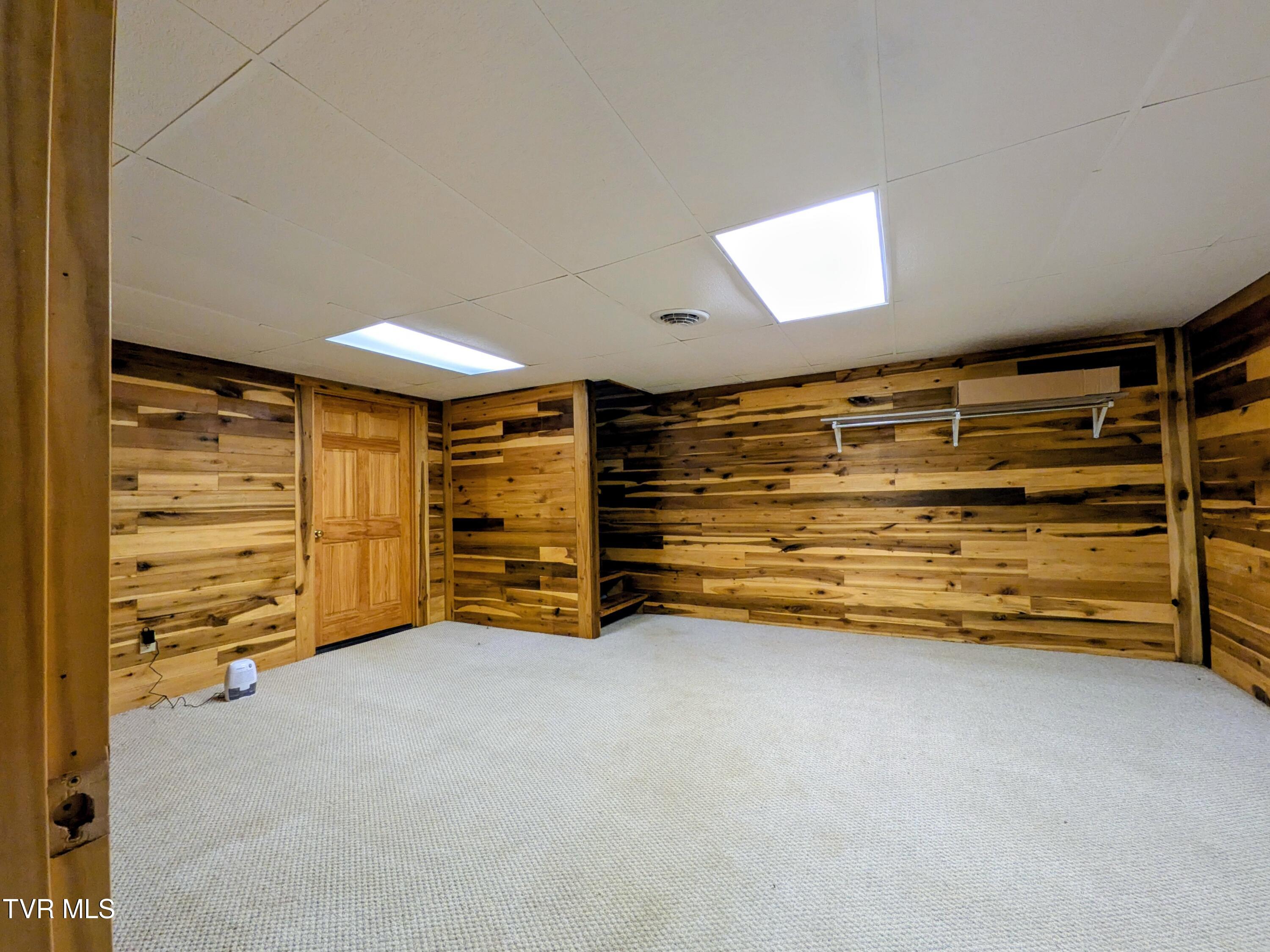 113 Nave Hollow Road Elizabethton, TN 37643 - Photo 41 of 91 Basement(1)