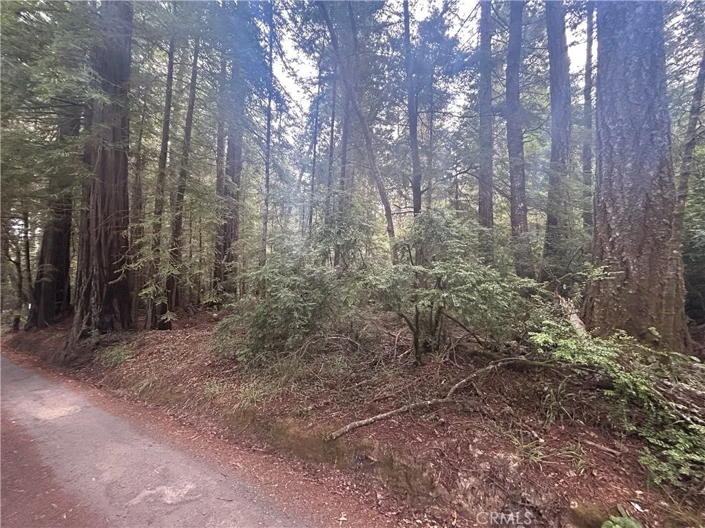 0 Law Mendocino, CA 95460 - Photo 2 of 6 a view of a forest with trees in the background