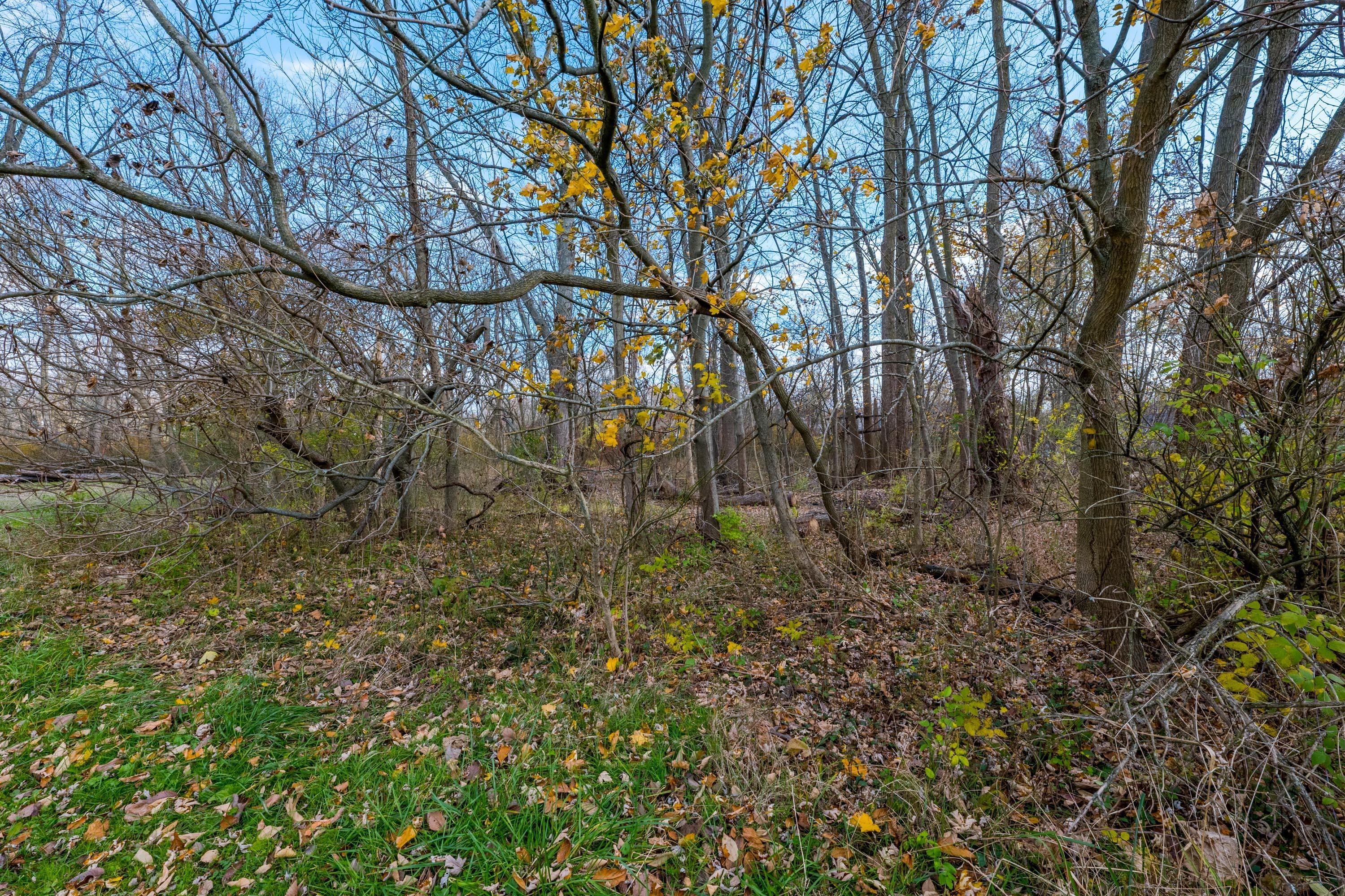 13330 Shell Beach Road Northeast Thornville, OH 43076 - Photo 9 of 19 008P1520183