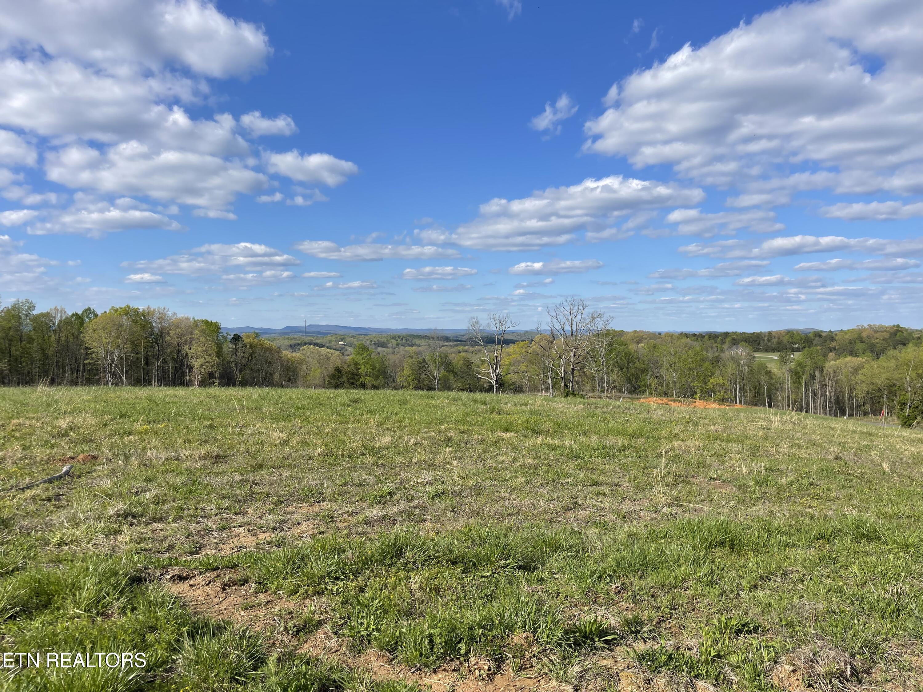 Lot 7 Laura Boling Loop Road Strawberry Plains, TN 37871 - Photo 1 of 4 B5C107B5-53CB-45DB-90B2-60C3057318EC